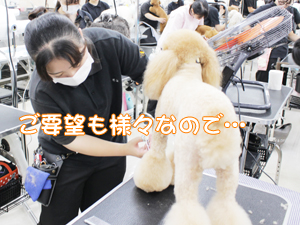 ２年生のトリミング実習♪